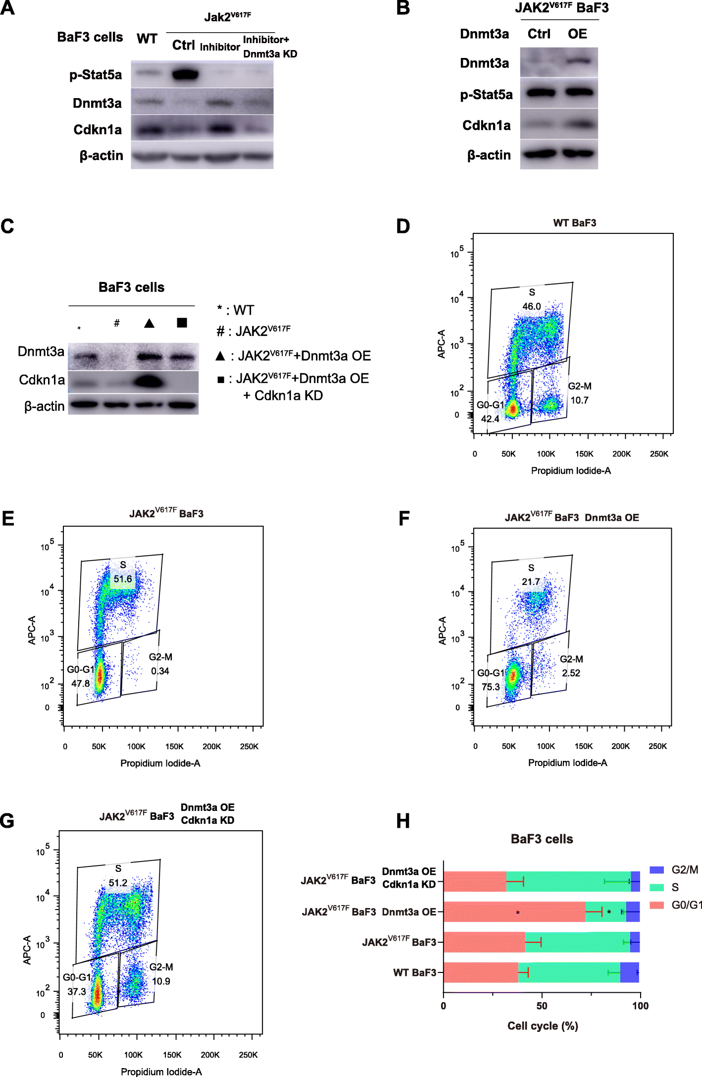 Fig. 8