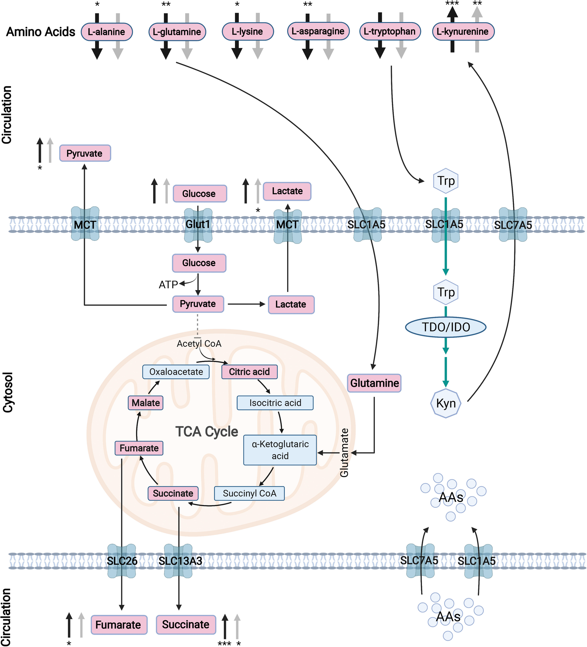 Fig. 10