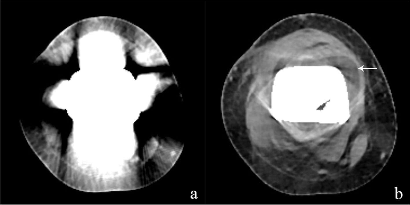 Fig. 5