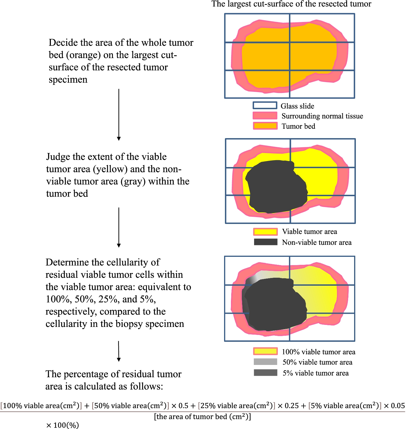 Fig.1