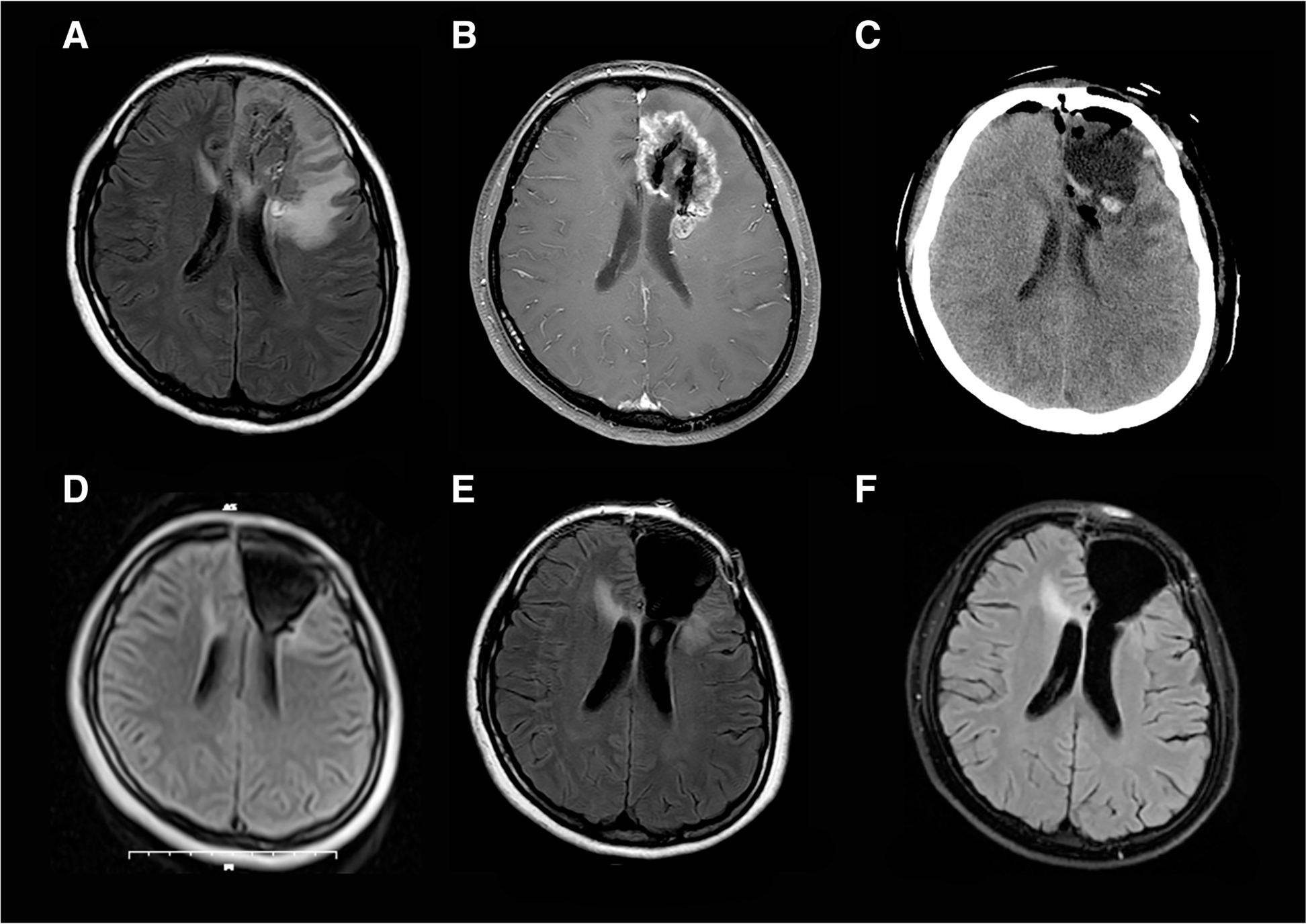 Fig. 5