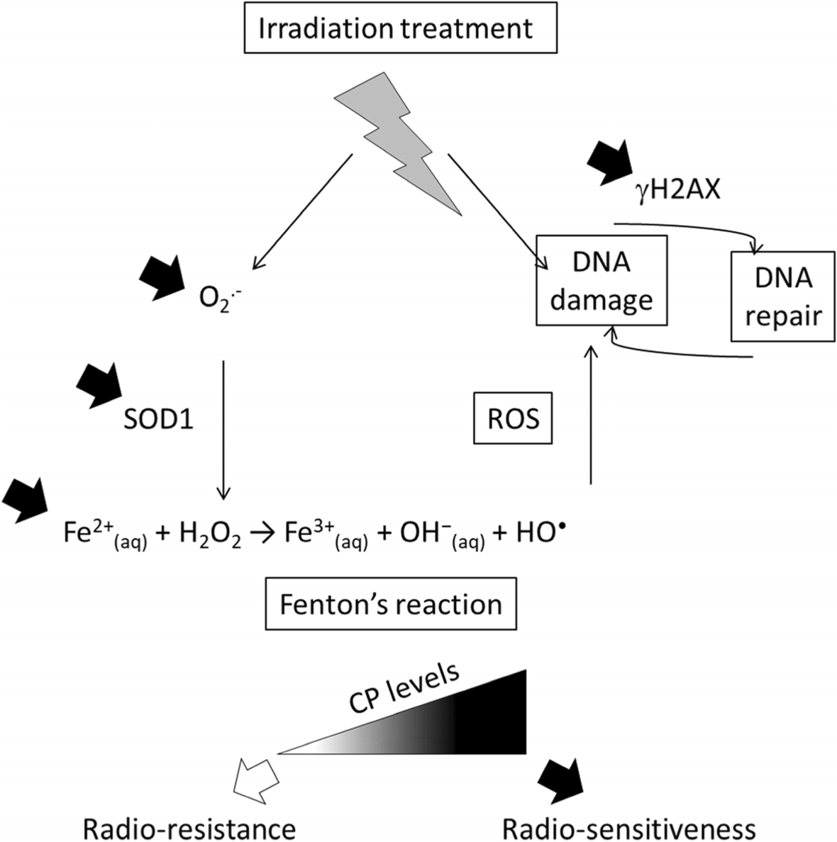 Fig. 8