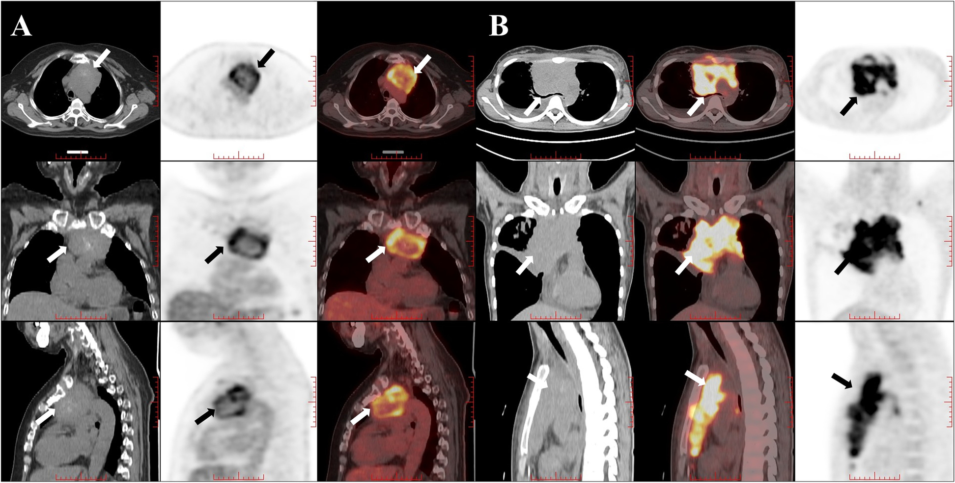 Fig. 5