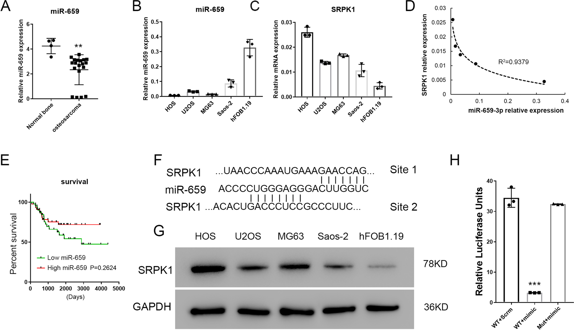 Fig.1