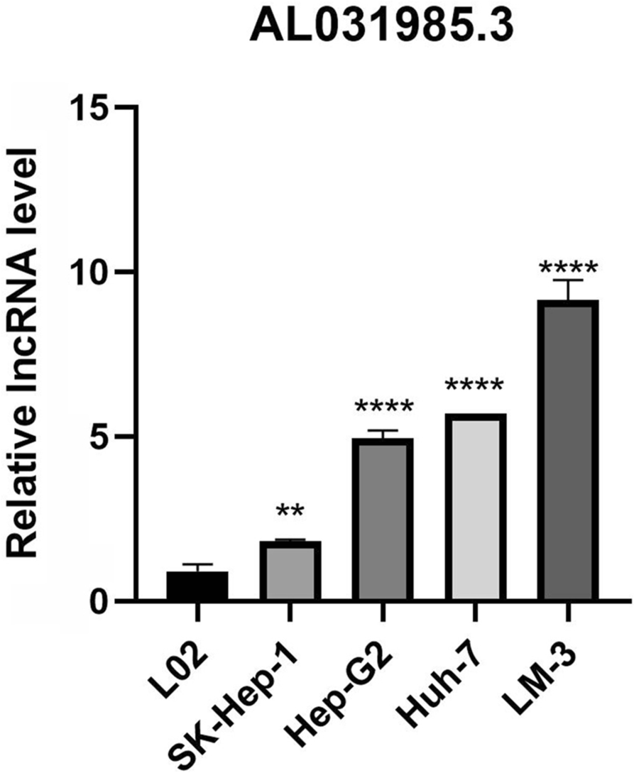 Fig. 11