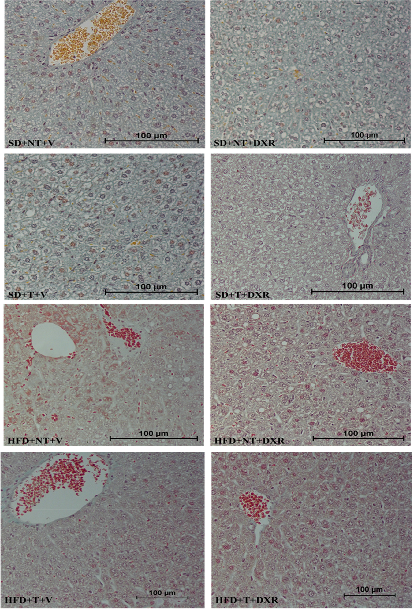 Fig. 8