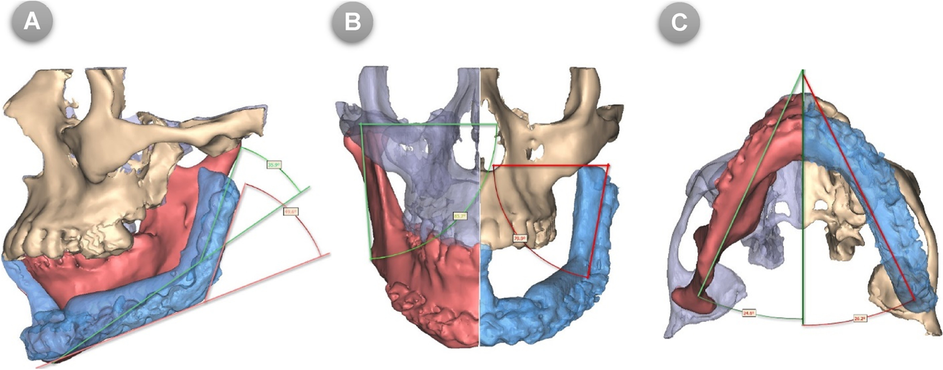 Fig. 7