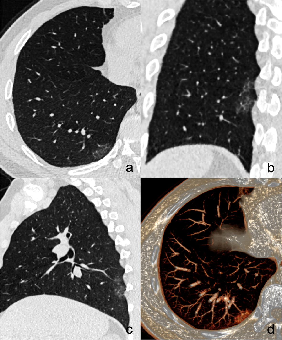 Fig. 5