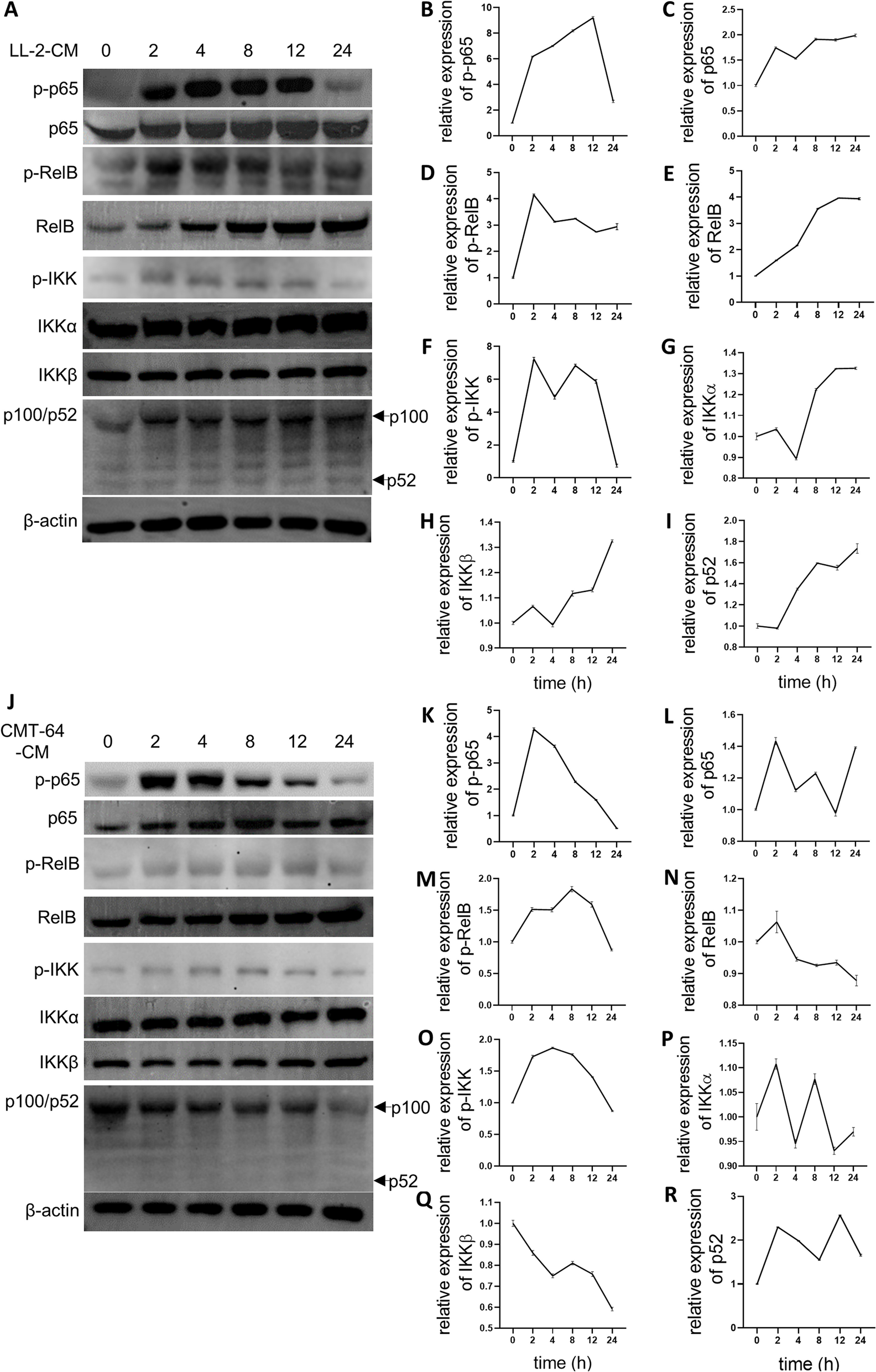 Fig. 7