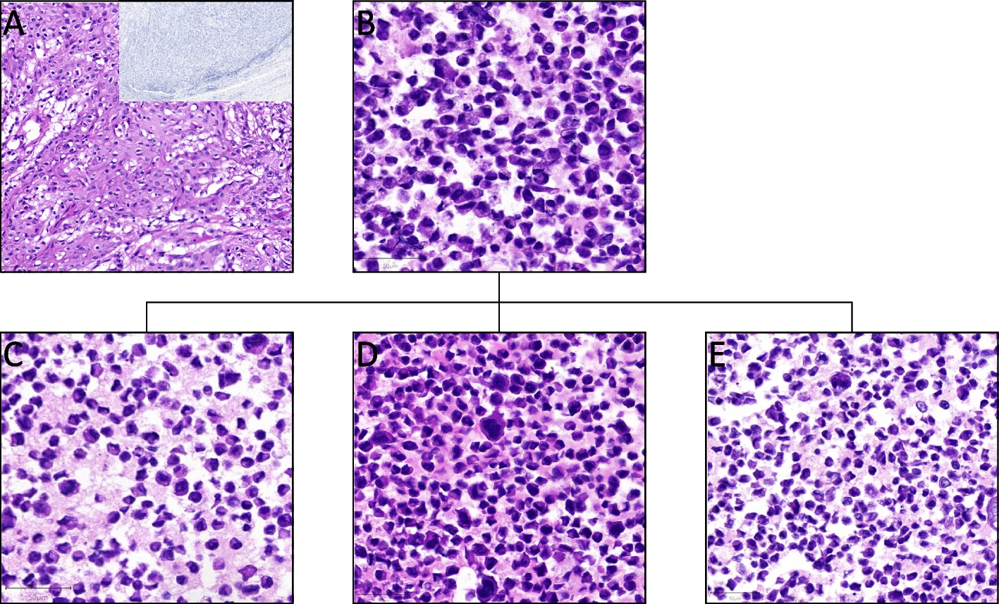 Fig. 2