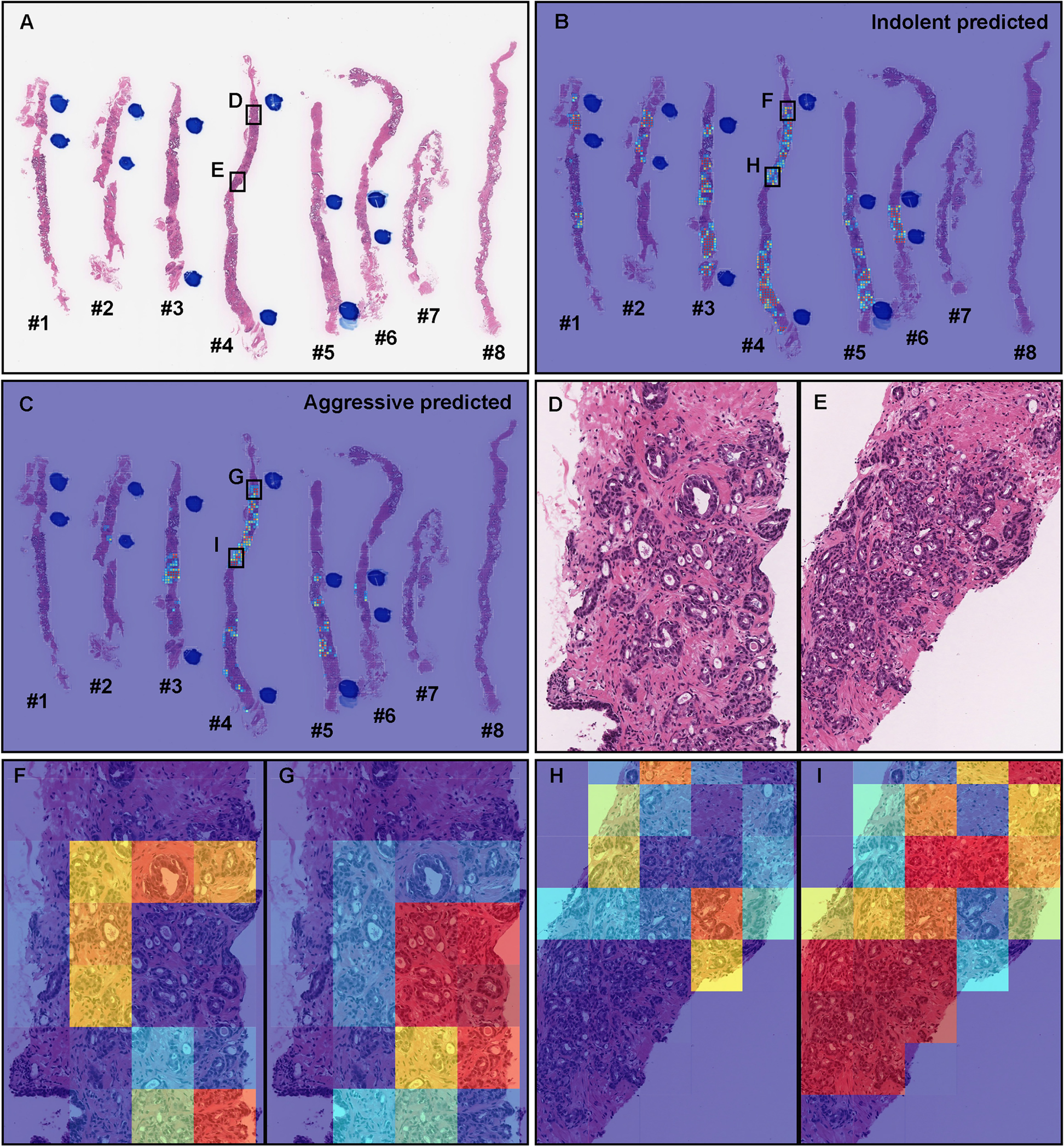 Fig. 9