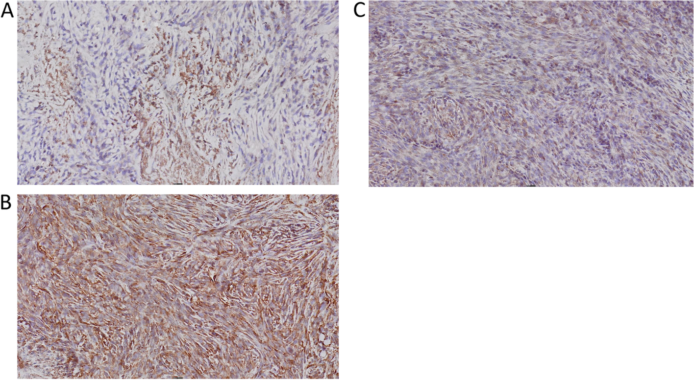 Fig. 7