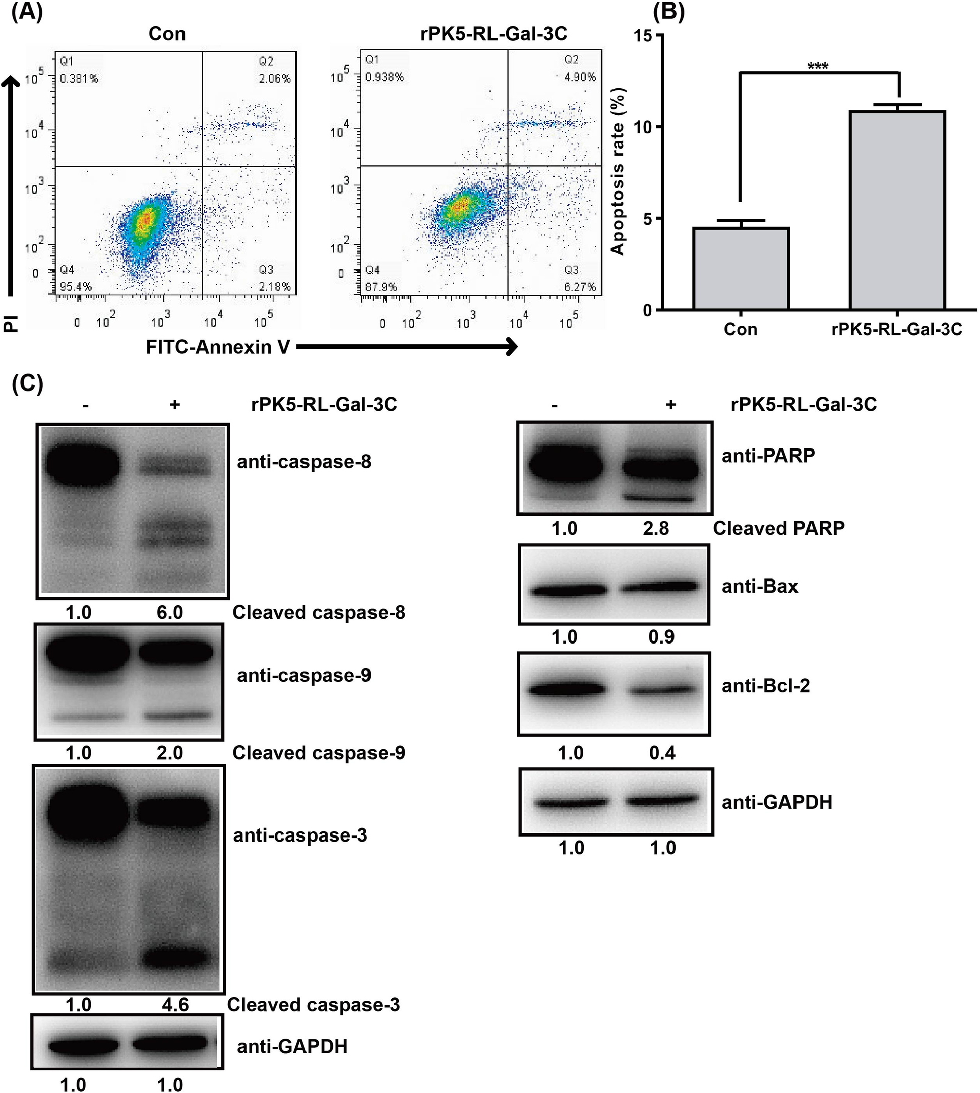 Fig. 7