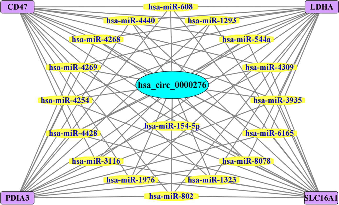 Fig. 15