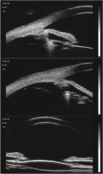 Fig. 8