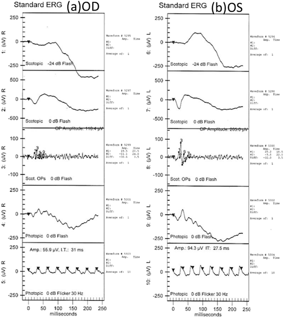 Fig. 4