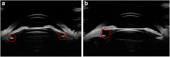 Fig. 8