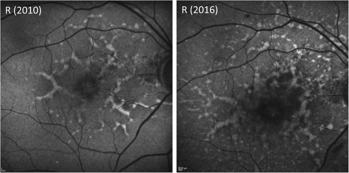 Fig. 8