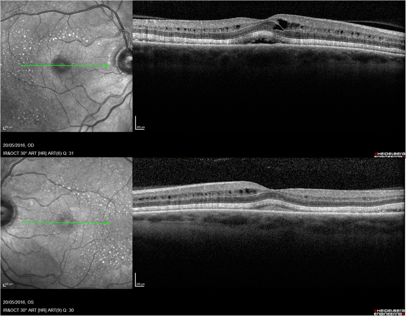 Fig. 3