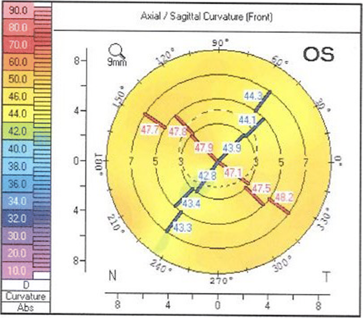 Fig. 5