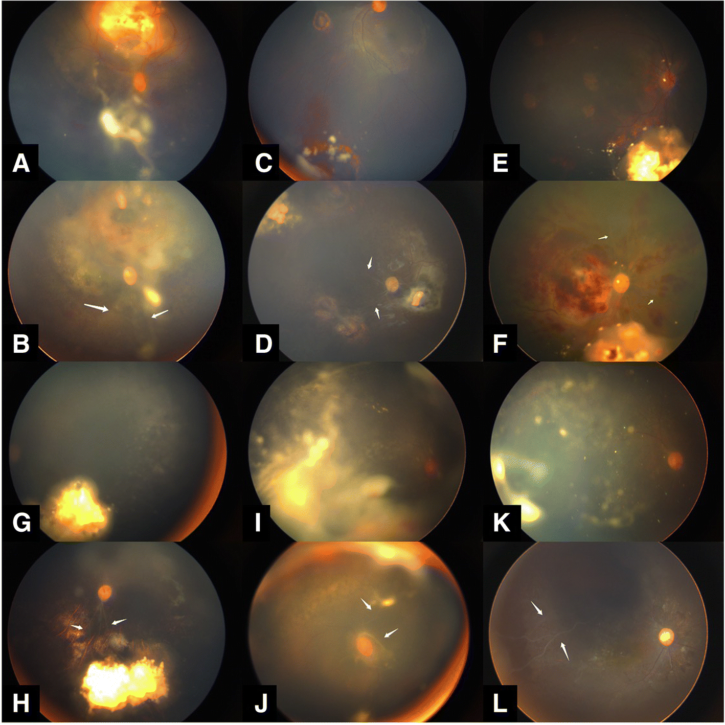 Fig. 5