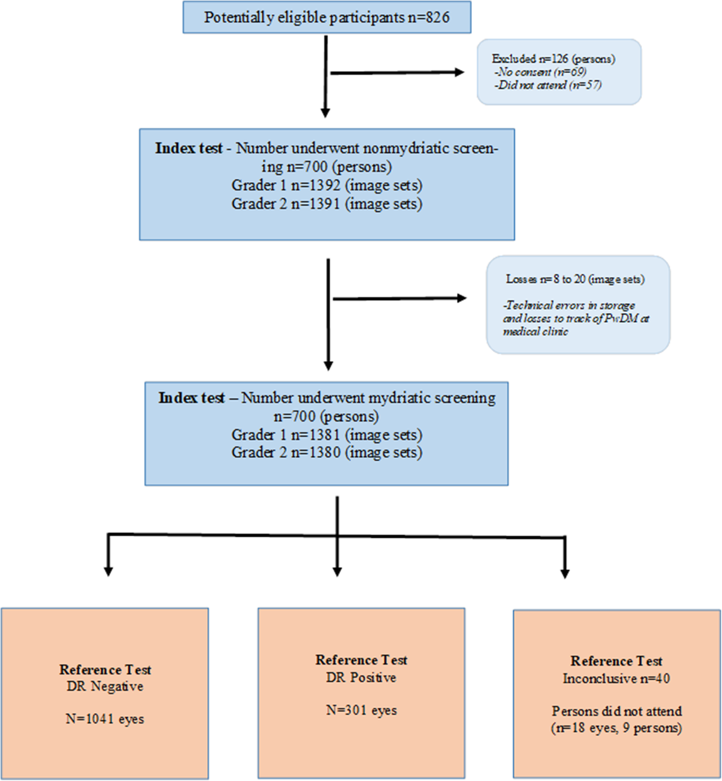 Medical Clinic Flow Chart