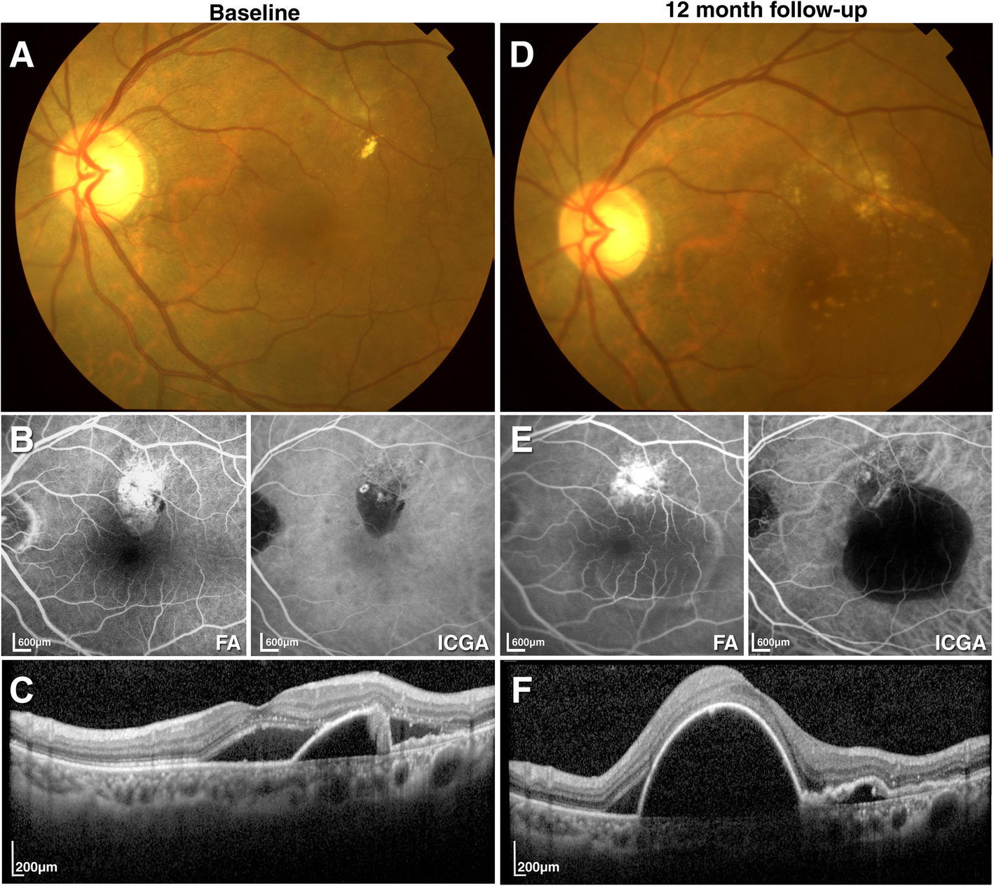 Fig. 4