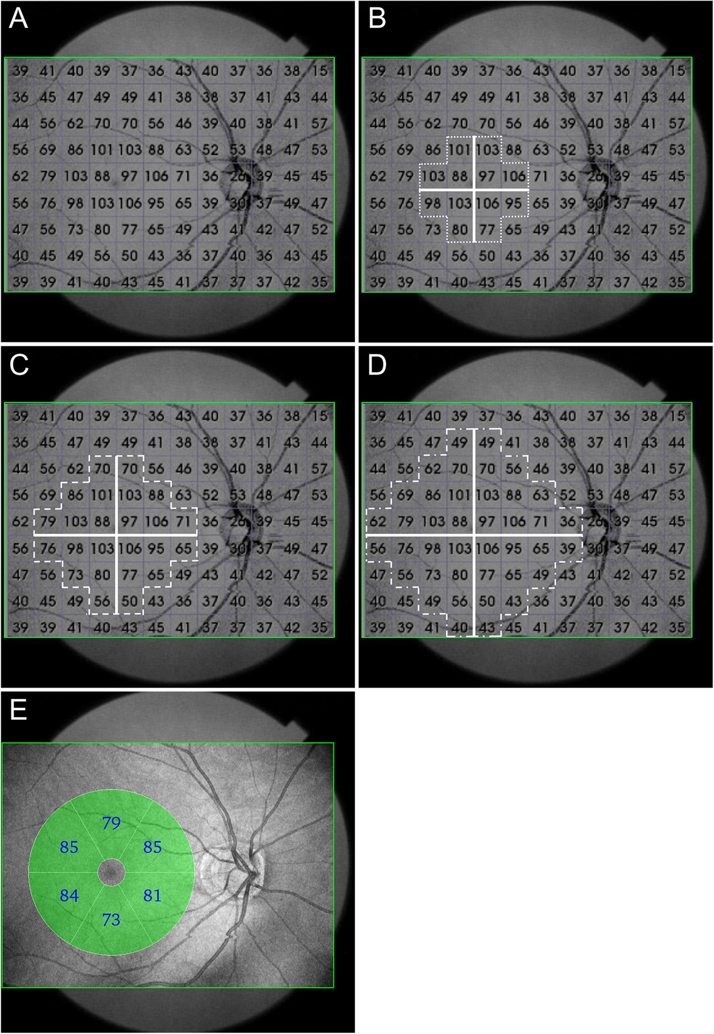 Fig. 1