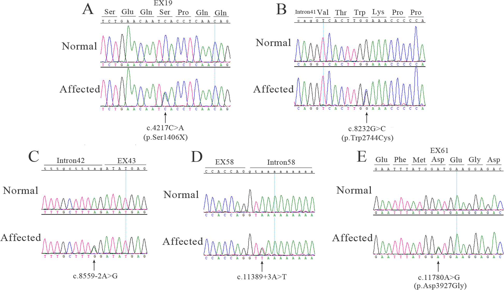 Fig. 2