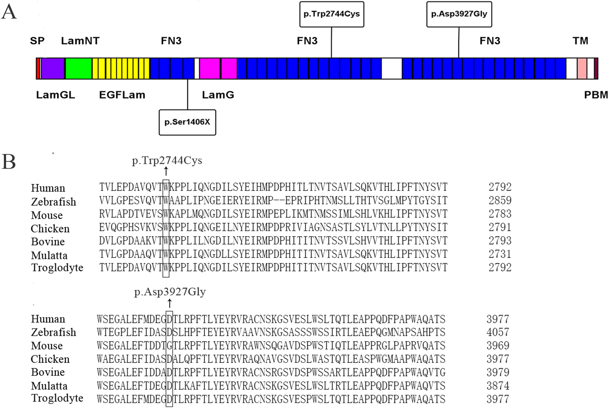 Fig. 4