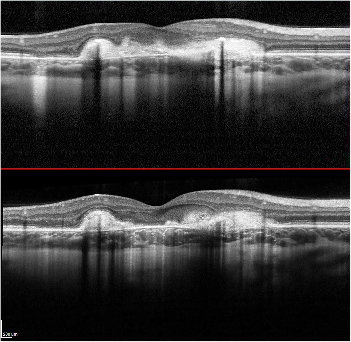 Fig. 7