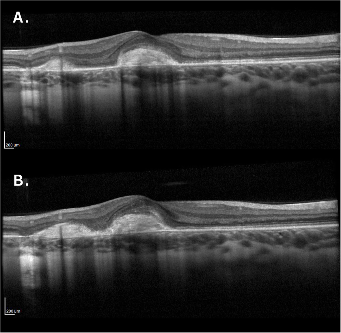 Fig. 8