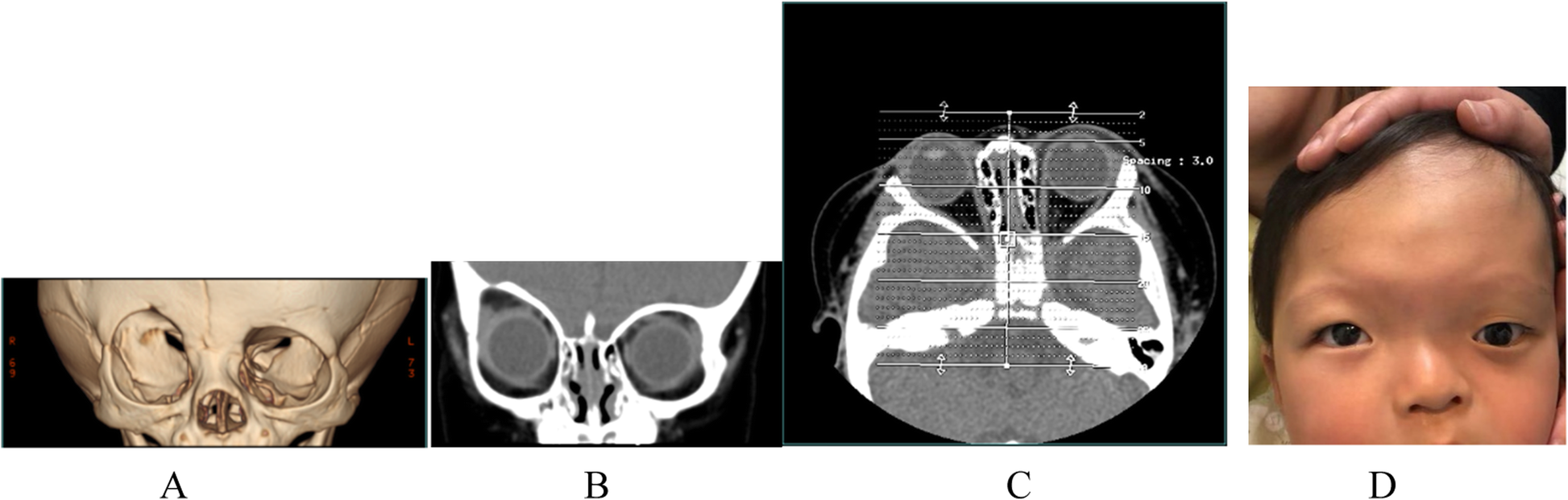 Fig. 5