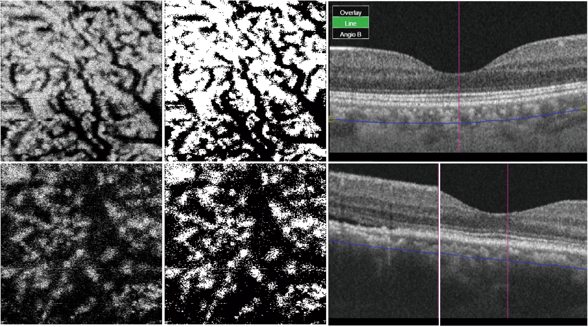 Fig. 4