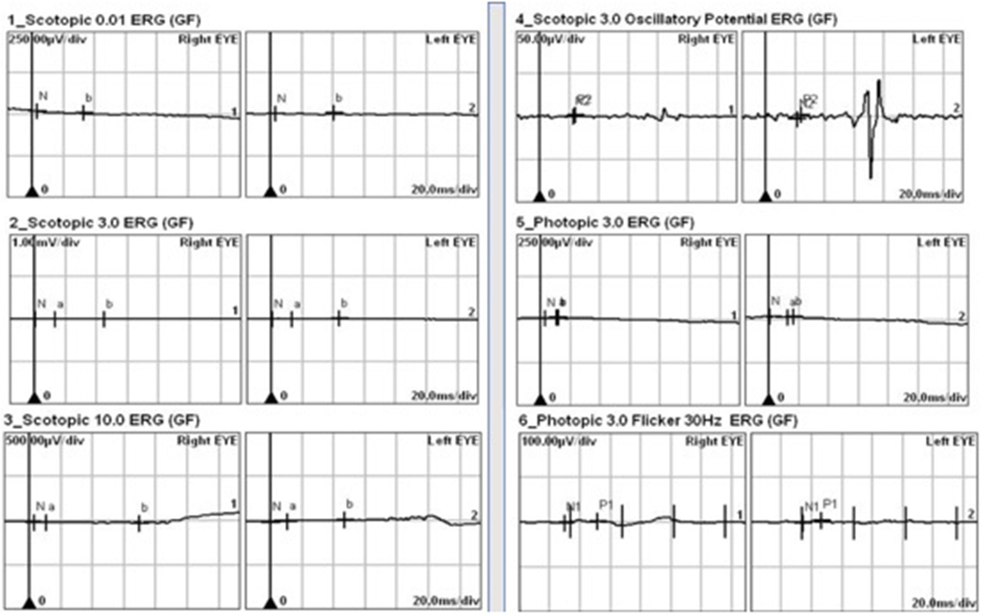 Fig. 3