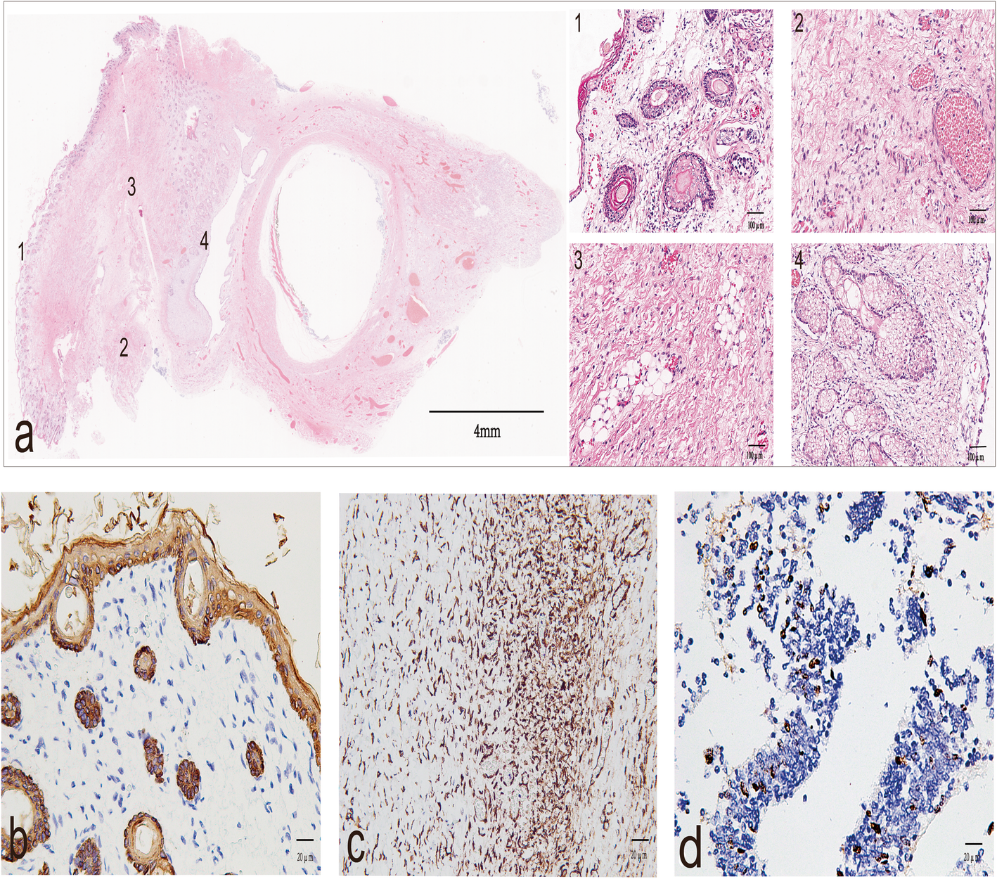 Fig. 2