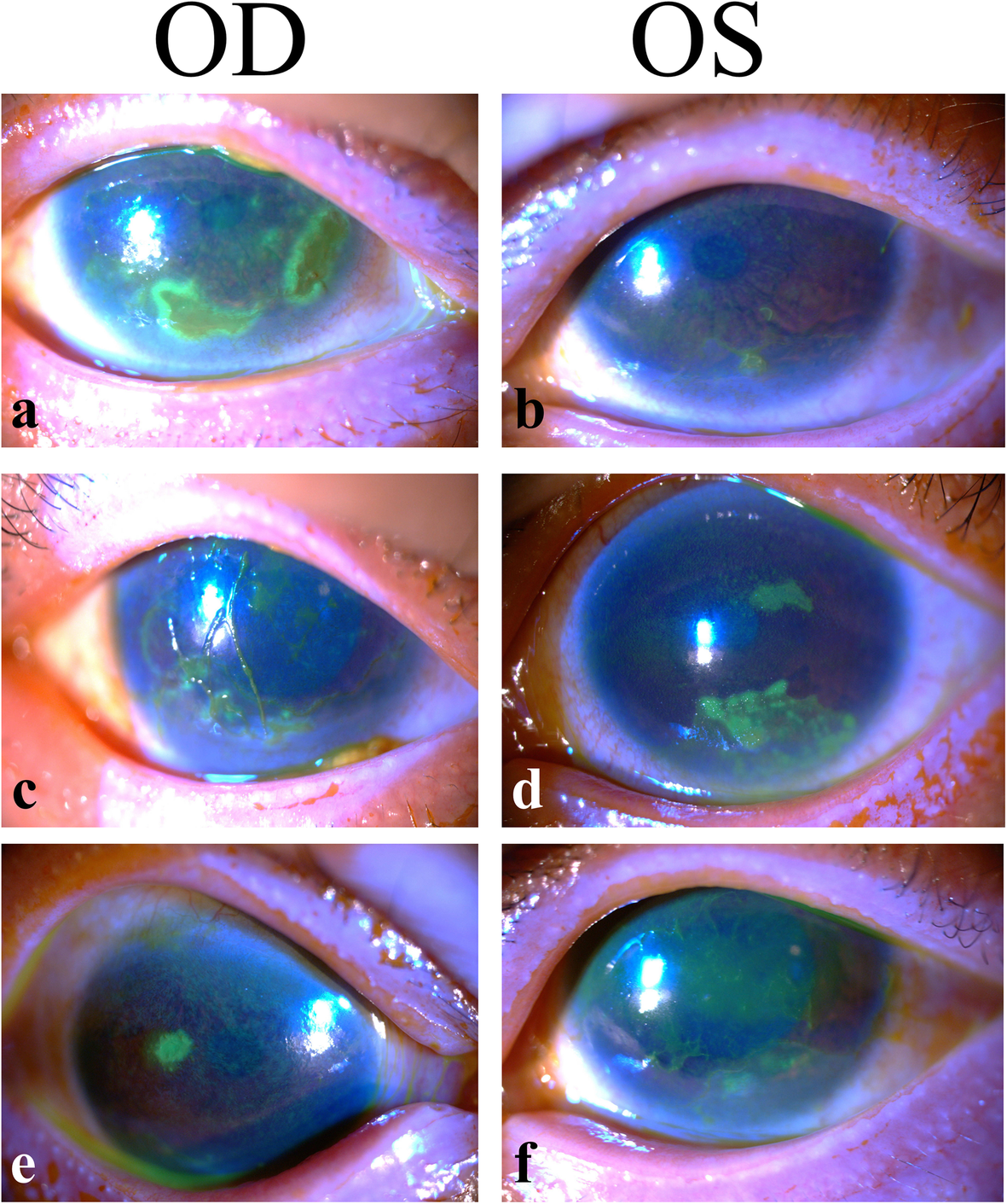 Fig. 2