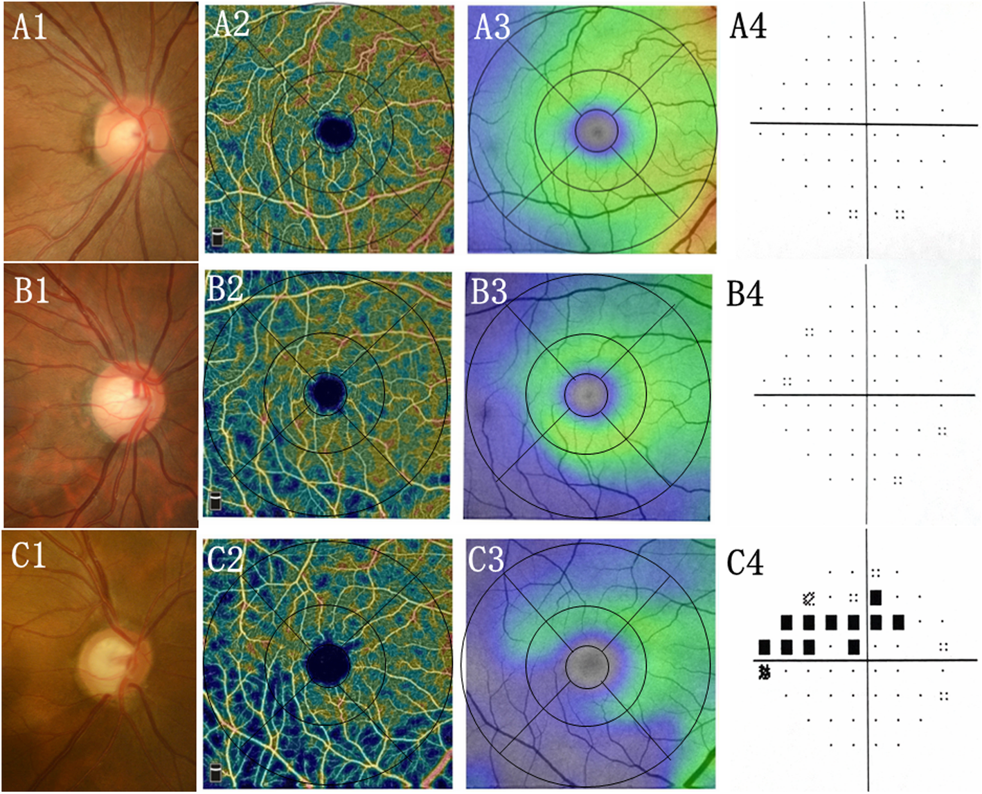 Fig. 1