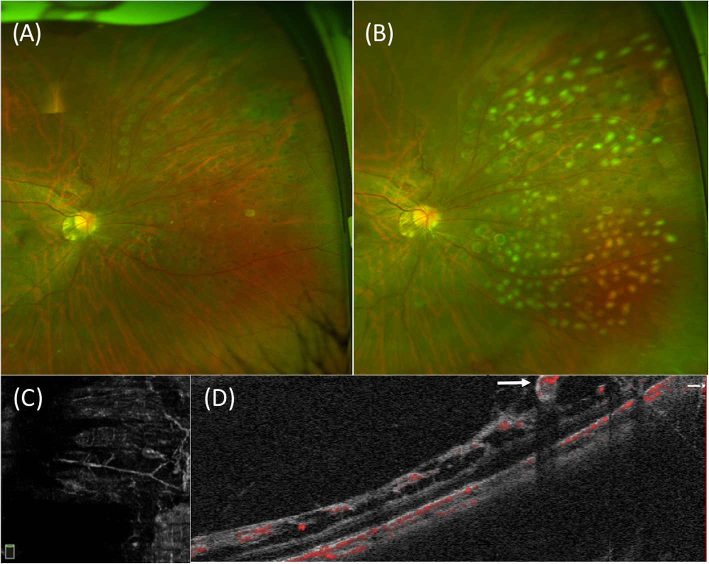 Fig. 2