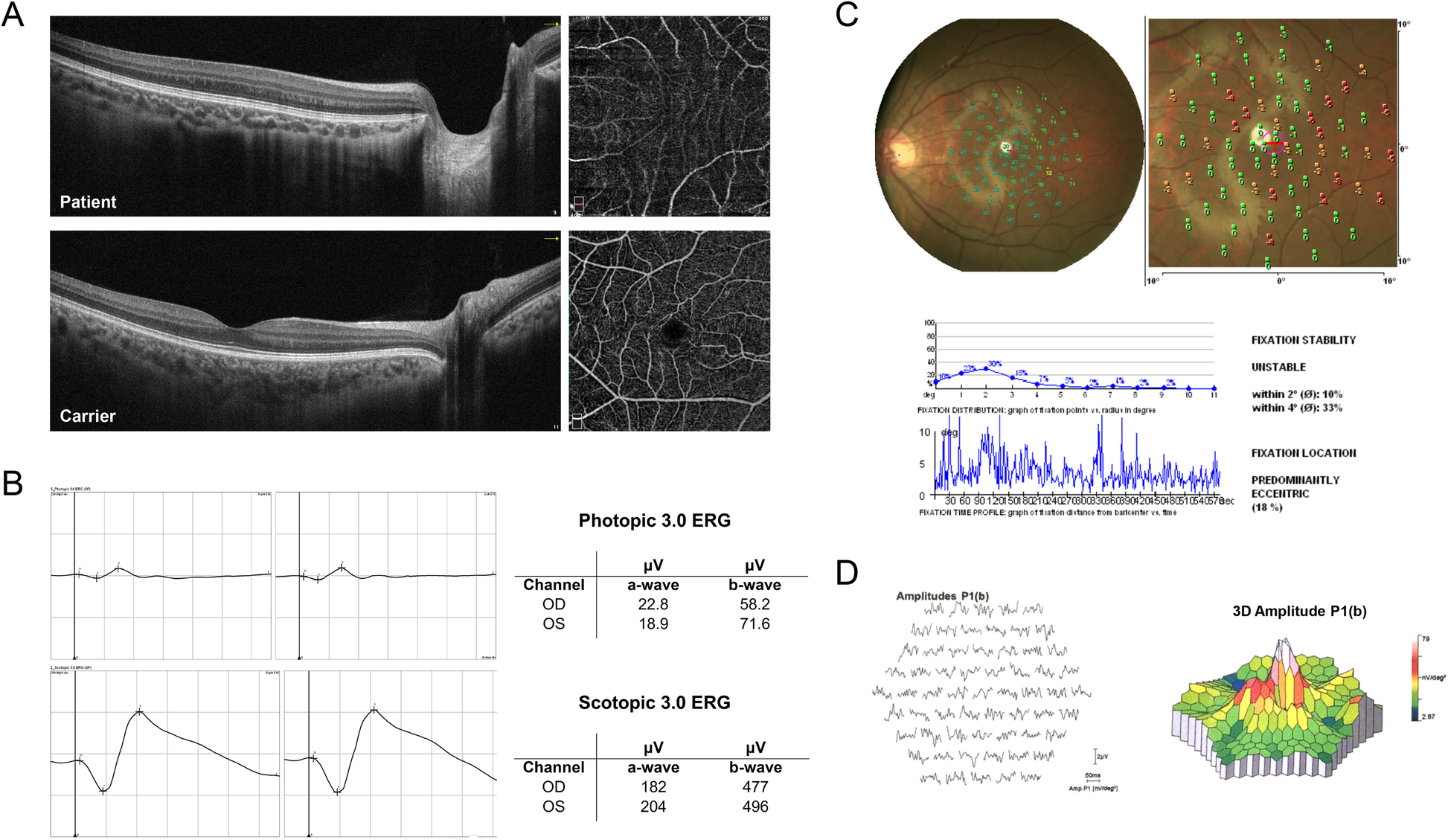 Fig. 2