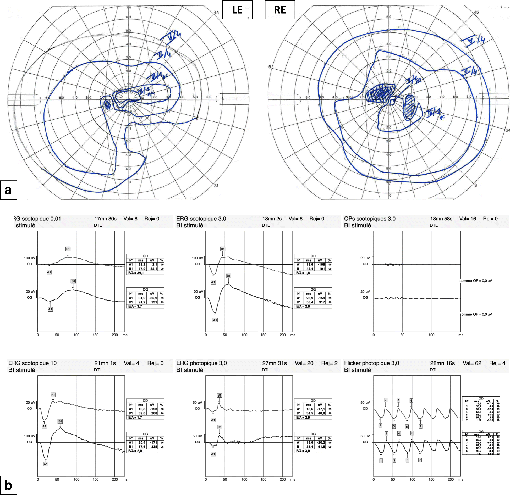 Fig. 3