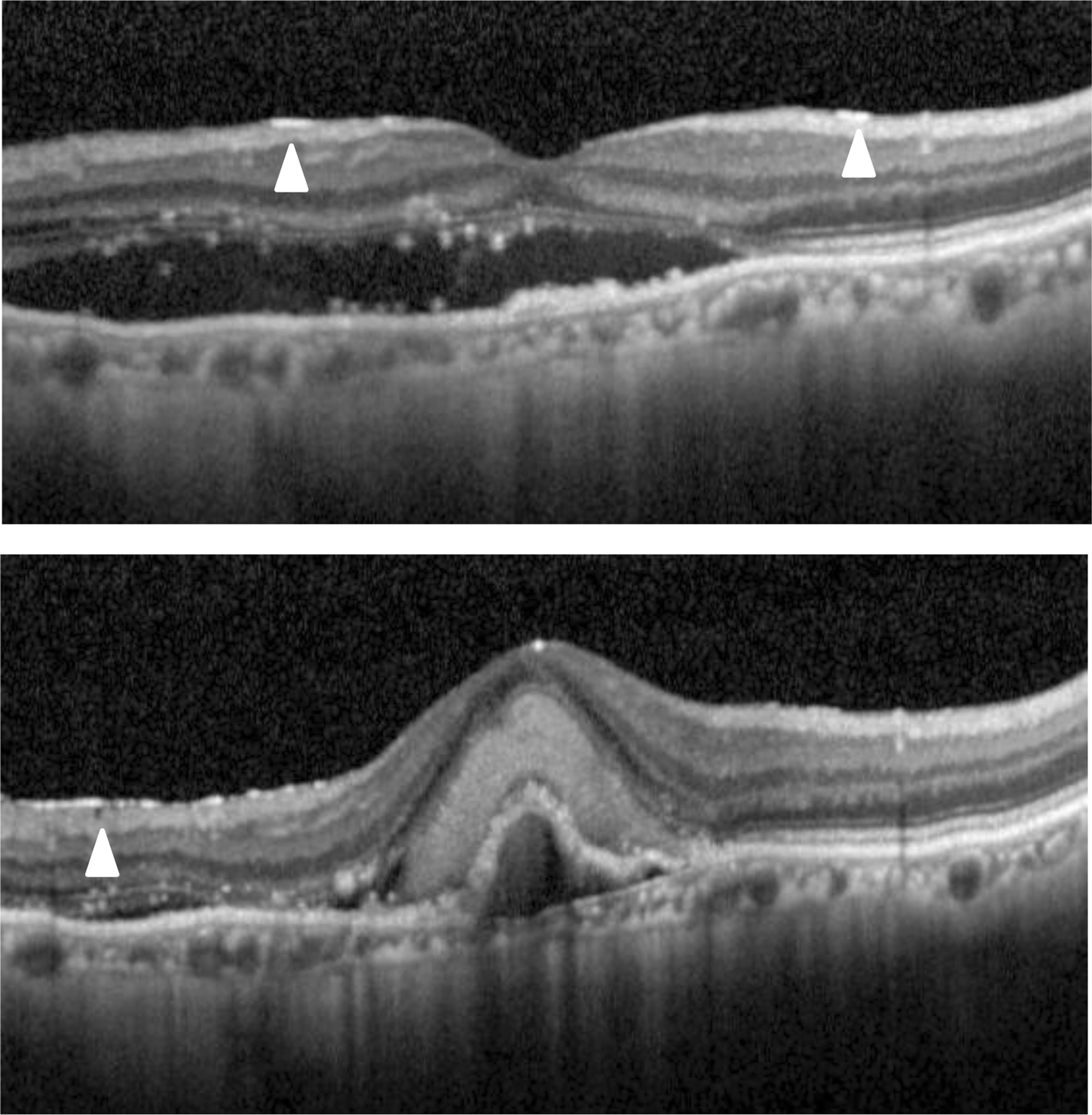 Fig. 6