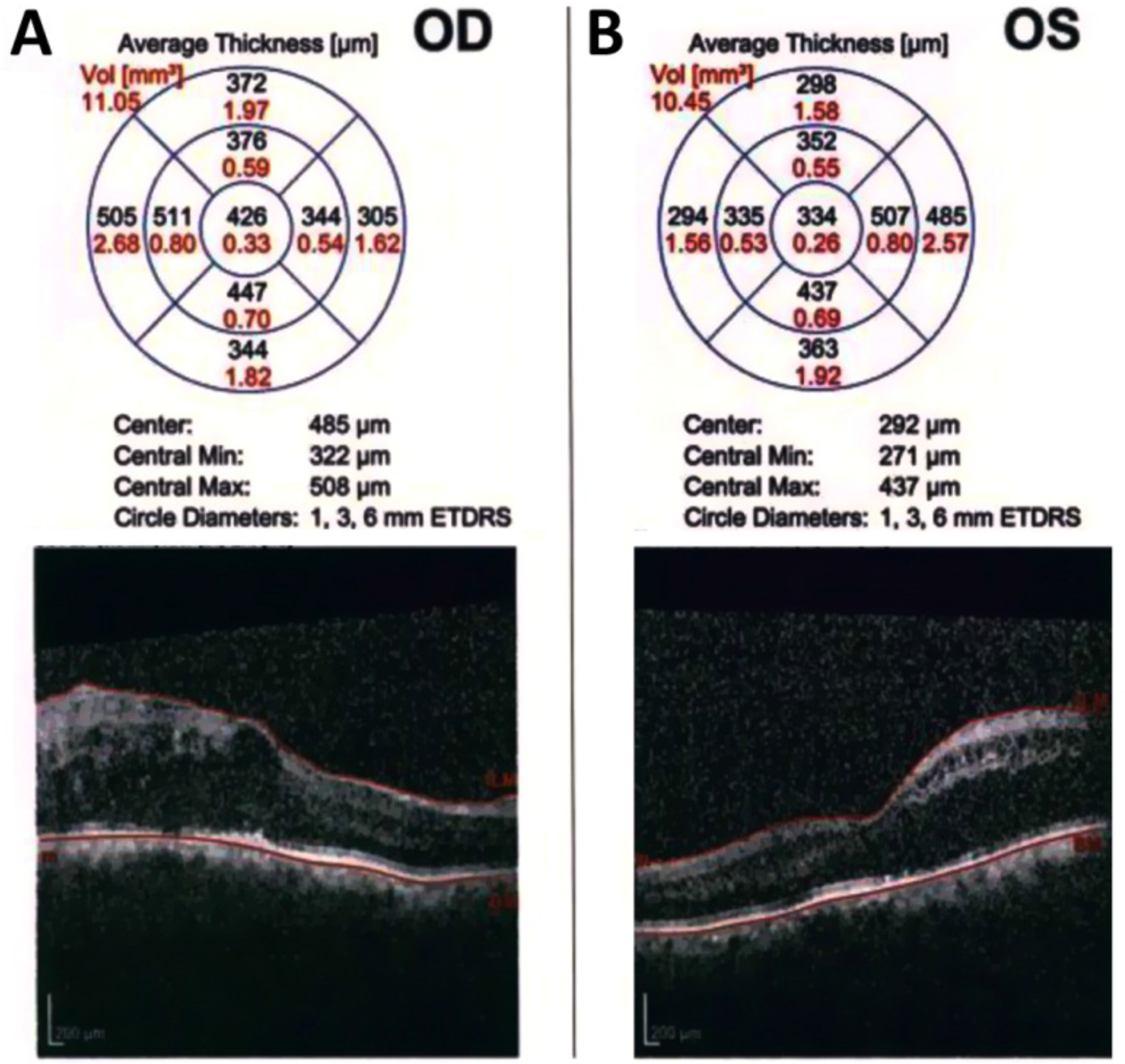 Fig. 3