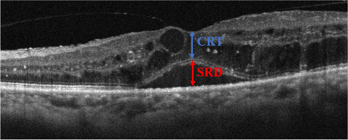 Fig. 1