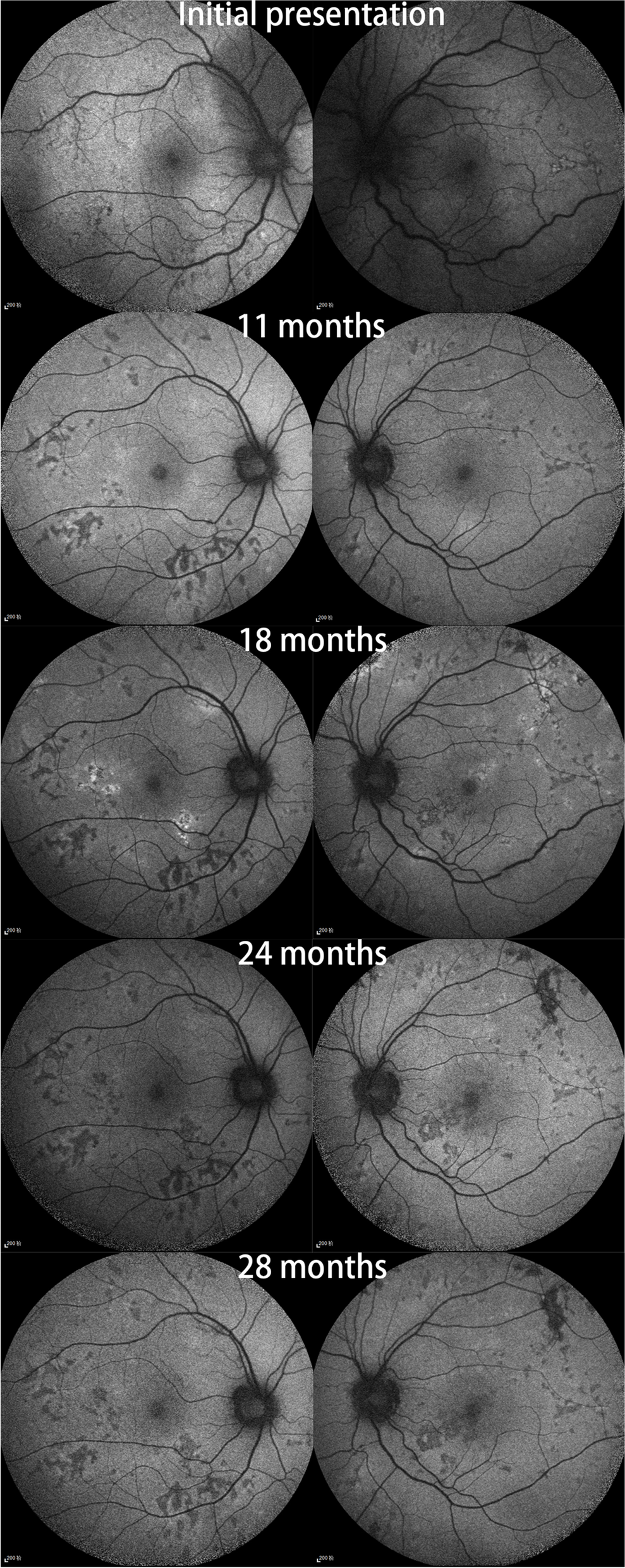 Fig. 3