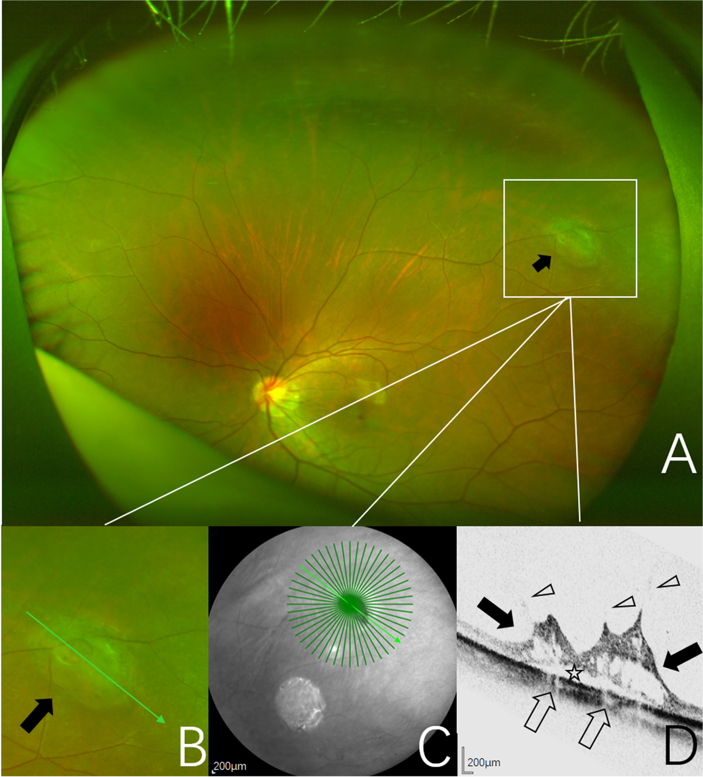 Fig. 4