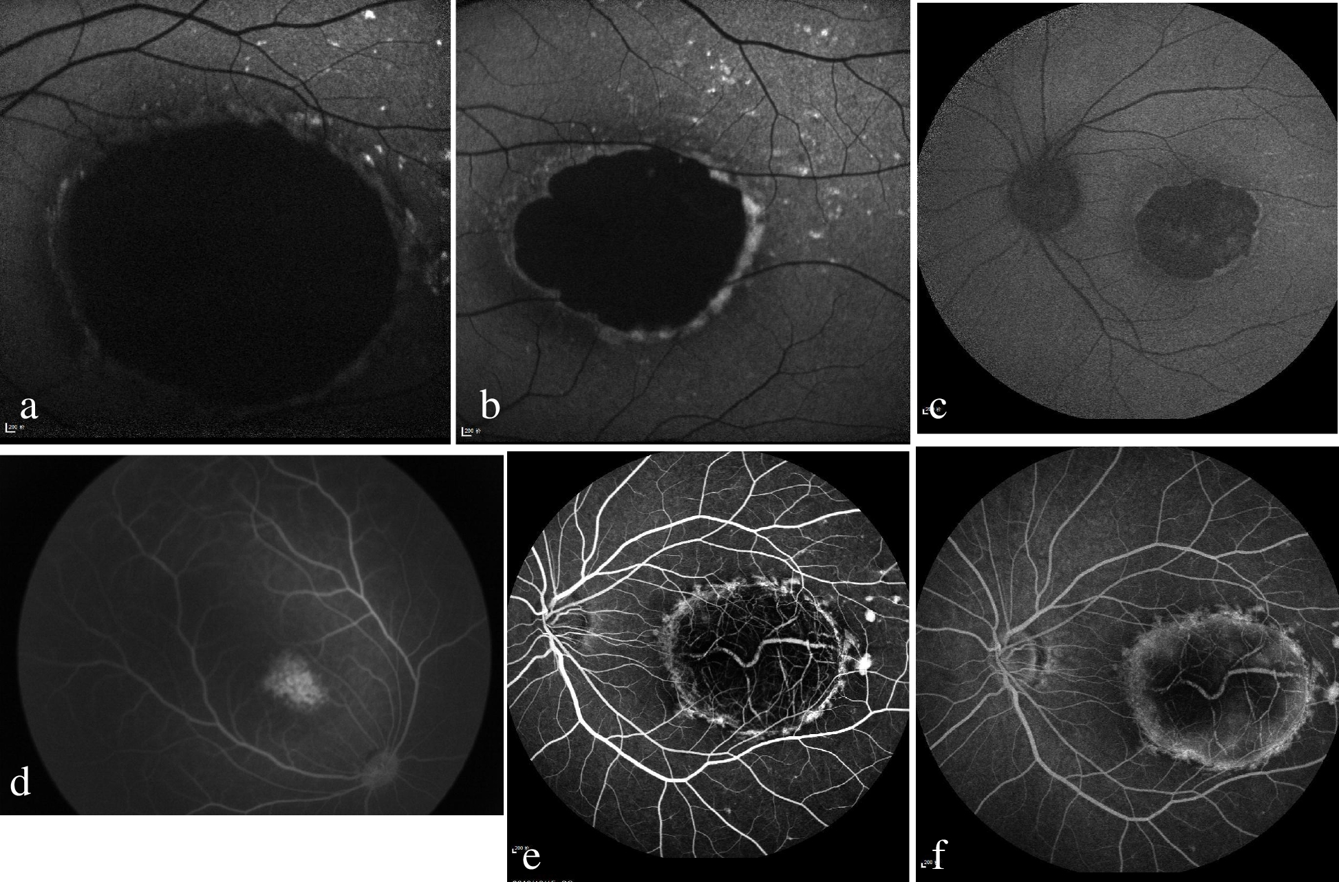 Fig. 4