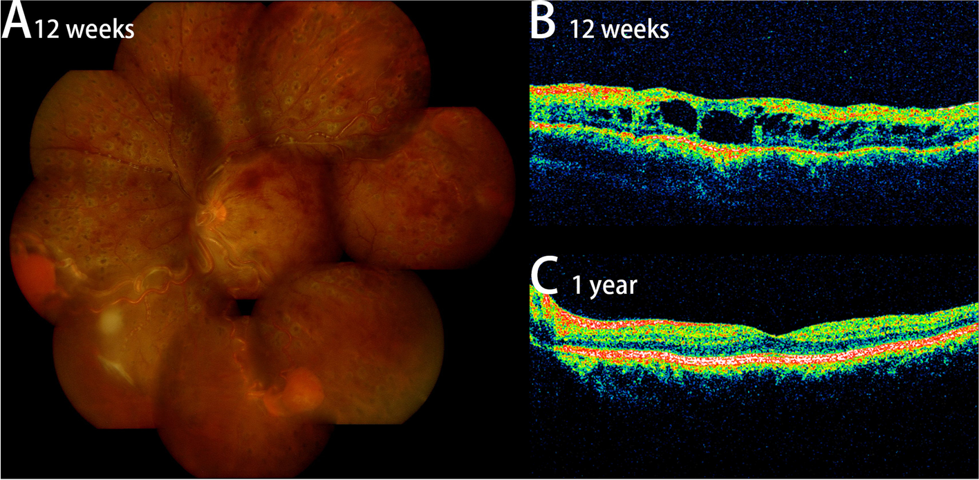 Fig. 4