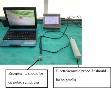 Fig. 1