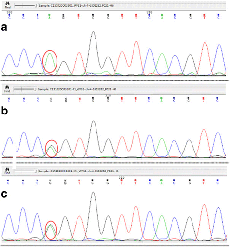 Fig. 4